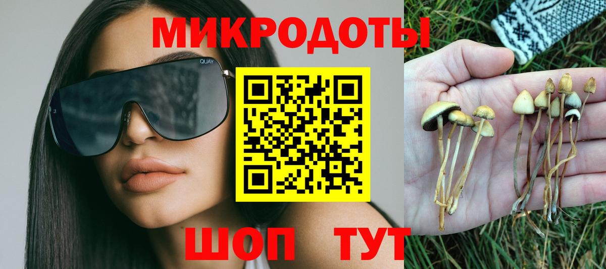 Галлюциногенные грибы Psilocybe Дагестанские Огни